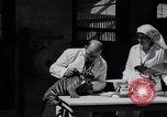 Image of infant cubs San Francisco California USA, 1933, second 33 stock footage video 65675037110