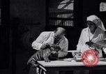Image of infant cubs San Francisco California USA, 1933, second 34 stock footage video 65675037110