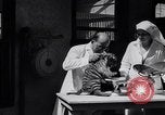 Image of infant cubs San Francisco California USA, 1933, second 35 stock footage video 65675037110