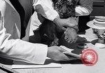 Image of infant cubs San Francisco California USA, 1933, second 36 stock footage video 65675037110