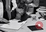 Image of infant cubs San Francisco California USA, 1933, second 37 stock footage video 65675037110