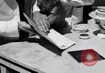 Image of infant cubs San Francisco California USA, 1933, second 39 stock footage video 65675037110