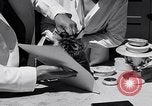 Image of infant cubs San Francisco California USA, 1933, second 46 stock footage video 65675037110