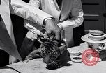 Image of infant cubs San Francisco California USA, 1933, second 50 stock footage video 65675037110