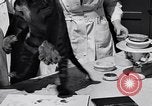 Image of infant cubs San Francisco California USA, 1933, second 54 stock footage video 65675037110
