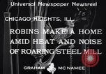 Image Robin's Nest Chicago Heights Illinois USA, 1933, de la seconde 10 séquences d'archives historiques vidéo 65675037114