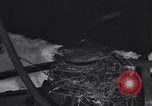 Image Robin's Nest Chicago Heights Illinois USA, 1933, de la seconde 46 séquences d'archives historiques vidéo 65675037114