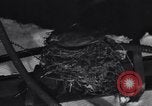 Image Robin's Nest Chicago Heights Illinois USA, 1933, de la seconde 54 séquences d'archives historiques vidéo 65675037114