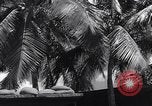 Immagine di Ufficio di Admiral Harold Stark Honolulu Hawaii USA, 1942, secondo 4 filmato di repertorio 65675037116