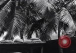 Immagine di Ufficio di Admiral Harold Stark Honolulu Hawaii USA, 1942, secondo 5 filmato di repertorio 65675037116