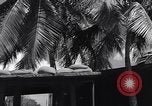 Immagine di Ufficio di Admiral Harold Stark Honolulu Hawaii USA, 1942, secondo 6 filmato di repertorio 65675037116