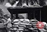 Immagine di Ufficio di Admiral Harold Stark Honolulu Hawaii USA, 1942, secondo 11 filmato di repertorio 65675037116