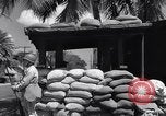 Immagine di Ufficio di Admiral Harold Stark Honolulu Hawaii USA, 1942, secondo 12 filmato di repertorio 65675037116