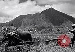 Standbild Pflügen eines Feldes mit Wasser Büffel Honolulu Hawaii USA, 1942, aus Sekunde 4 historischem Filmmaterial Videoclip 65675037119