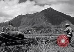 Standbild Pflügen eines Feldes mit Wasser Büffel Honolulu Hawaii USA, 1942, aus Sekunde 6 historischem Filmmaterial Videoclip 65675037119