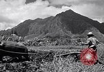 Standbild Pflügen eines Feldes mit Wasser Büffel Honolulu Hawaii USA, 1942, aus Sekunde 7 historischem Filmmaterial Videoclip 65675037119