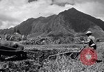 Standbild Pflügen eines Feldes mit Wasser Büffel Honolulu Hawaii USA, 1942, aus Sekunde 8 historischem Filmmaterial Videoclip 65675037119