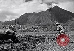 Standbild Pflügen eines Feldes mit Wasser Büffel Honolulu Hawaii USA, 1942, aus Sekunde 10 historischem Filmmaterial Videoclip 65675037119