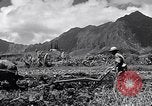 Standbild Pflügen eines Feldes mit Wasser Büffel Honolulu Hawaii USA, 1942, aus Sekunde 13 historischem Filmmaterial Videoclip 65675037119