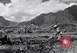 Standbild Pflügen eines Feldes mit Wasser Büffel Honolulu Hawaii USA, 1942, aus Sekunde 14 historischem Filmmaterial Videoclip 65675037119