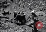 Standbild Pflügen eines Feldes mit Wasser Büffel Honolulu Hawaii USA, 1942, aus Sekunde 42 historischem Filmmaterial Videoclip 65675037119