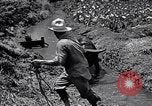 Standbild Pflügen eines Feldes mit Wasser Büffel Honolulu Hawaii USA, 1942, aus Sekunde 44 historischem Filmmaterial Videoclip 65675037119