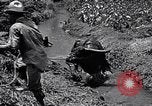 Standbild Pflügen eines Feldes mit Wasser Büffel Honolulu Hawaii USA, 1942, aus Sekunde 45 historischem Filmmaterial Videoclip 65675037119
