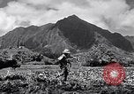 Standbild Pflügen eines Feldes mit Wasser Büffel Honolulu Hawaii USA, 1942, aus Sekunde 55 historischem Filmmaterial Videoclip 65675037119