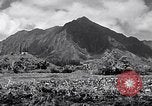 Standbild Pflügen eines Feldes mit Wasser Büffel Honolulu Hawaii USA, 1942, aus Sekunde 62 historischem Filmmaterial Videoclip 65675037119