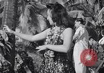 Standbild Mädchen tanzen Hula für die Zuschauer Honolulu Hawaii USA, 1942, aus Sekunde 22 historischem Filmmaterial Videoclip 65675037121