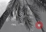 Standbild Szenen vor Zweiten Weltkrieg im Pazifik Honolulu Hawaii USA, 1939, aus Sekunde 10 historischem Filmmaterial Videoclip 65675037129