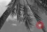 Standbild Szenen vor Zweiten Weltkrieg im Pazifik Honolulu Hawaii USA, 1939, aus Sekunde 11 historischem Filmmaterial Videoclip 65675037129