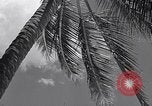 Standbild Szenen vor Zweiten Weltkrieg im Pazifik Honolulu Hawaii USA, 1939, aus Sekunde 12 historischem Filmmaterial Videoclip 65675037129