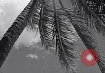 Standbild Szenen vor Zweiten Weltkrieg im Pazifik Honolulu Hawaii USA, 1939, aus Sekunde 13 historischem Filmmaterial Videoclip 65675037129