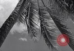 Standbild Szenen vor Zweiten Weltkrieg im Pazifik Honolulu Hawaii USA, 1939, aus Sekunde 14 historischem Filmmaterial Videoclip 65675037129
