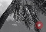 Standbild Szenen vor Zweiten Weltkrieg im Pazifik Honolulu Hawaii USA, 1939, aus Sekunde 15 historischem Filmmaterial Videoclip 65675037129
