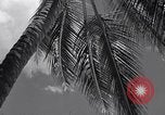 Standbild Szenen vor Zweiten Weltkrieg im Pazifik Honolulu Hawaii USA, 1939, aus Sekunde 18 historischem Filmmaterial Videoclip 65675037129