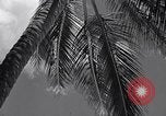 Standbild Szenen vor Zweiten Weltkrieg im Pazifik Honolulu Hawaii USA, 1939, aus Sekunde 21 historischem Filmmaterial Videoclip 65675037129