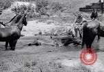 Standbild militärische Übung im Camp Shelby Wiggins Mississippi USA, 1938, aus Sekunde 33 historischem Filmmaterial Videoclip 65675037136