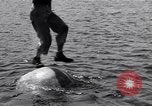Standbild log Rollen Nova Scotia, 1938, aus Sekunde 57 historischem Filmmaterial Videoclip 65675037141