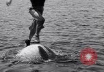 Standbild log Rollen Nova Scotia, 1938, aus Sekunde 58 historischem Filmmaterial Videoclip 65675037141