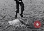 Standbild log Rollen Nova Scotia, 1938, aus Sekunde 59 historischem Filmmaterial Videoclip 65675037141