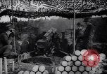 Image of Japanese troops of United States Army France, 1944, second 36 stock footage video 65675037153