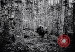 Image of Japanese troops of United States Army France, 1944, second 40 stock footage video 65675037153