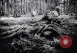 Image of Japanese troops of United States Army France, 1944, second 51 stock footage video 65675037153