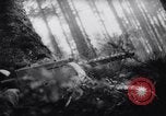Image of Japanese troops of United States Army France, 1944, second 60 stock footage video 65675037153