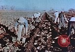 Image of released Nisei United States USA, 1944, second 10 stock footage video 65675037156