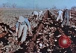Image of released Nisei United States USA, 1944, second 13 stock footage video 65675037156