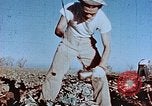 Image of released Nisei United States USA, 1944, second 26 stock footage video 65675037156