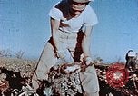 Image of released Nisei United States USA, 1944, second 31 stock footage video 65675037156